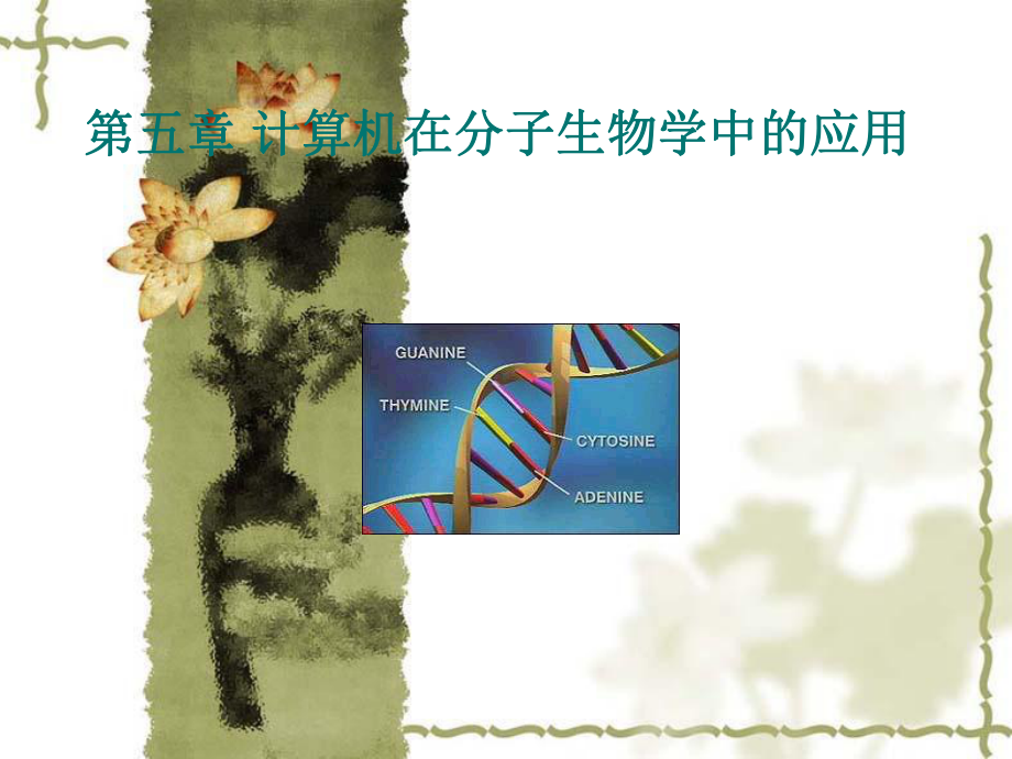 第五章计算机在分子生物学中的应用课件.ppt_第1页