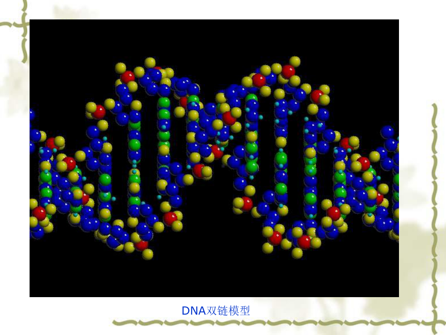 第五章计算机在分子生物学中的应用课件.ppt_第2页