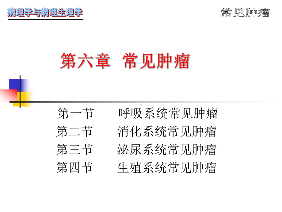 病理学第5章肿瘤课件.ppt_第1页