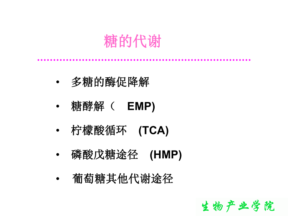 生物化学-糖的分解代谢PPT课件.ppt_第2页