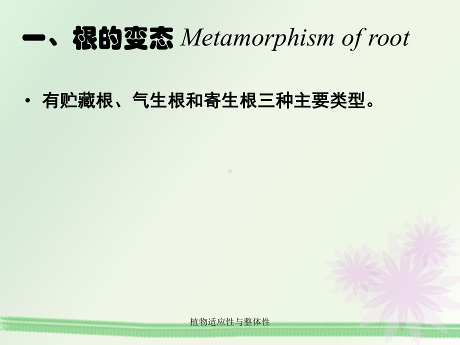 植物适应性与整体性课件.ppt_第3页