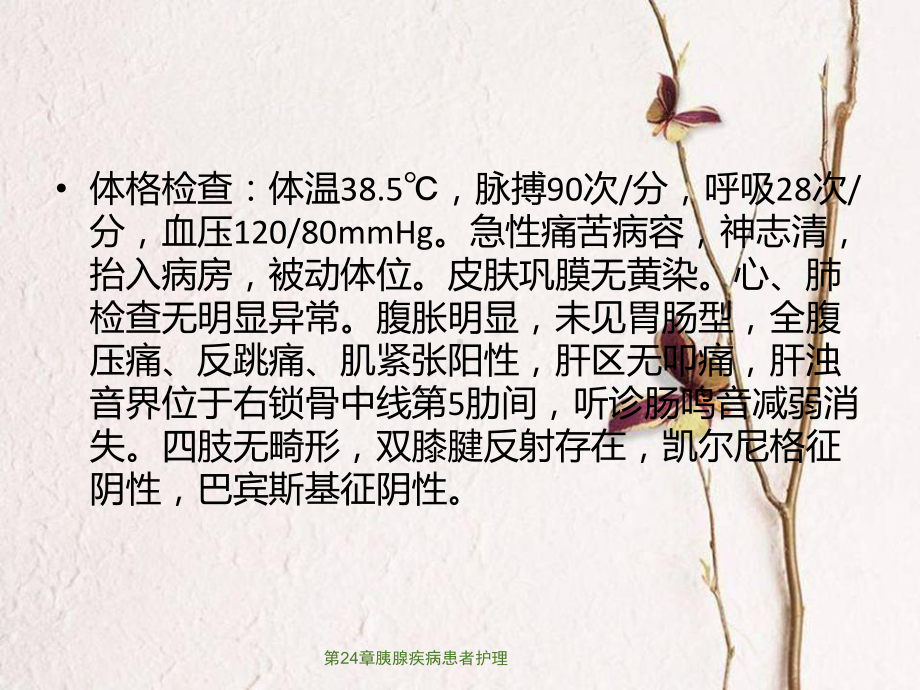 第24章胰腺疾病患者护理课件.ppt_第3页