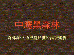 中鹰黑森林节能科技系统课件.ppt