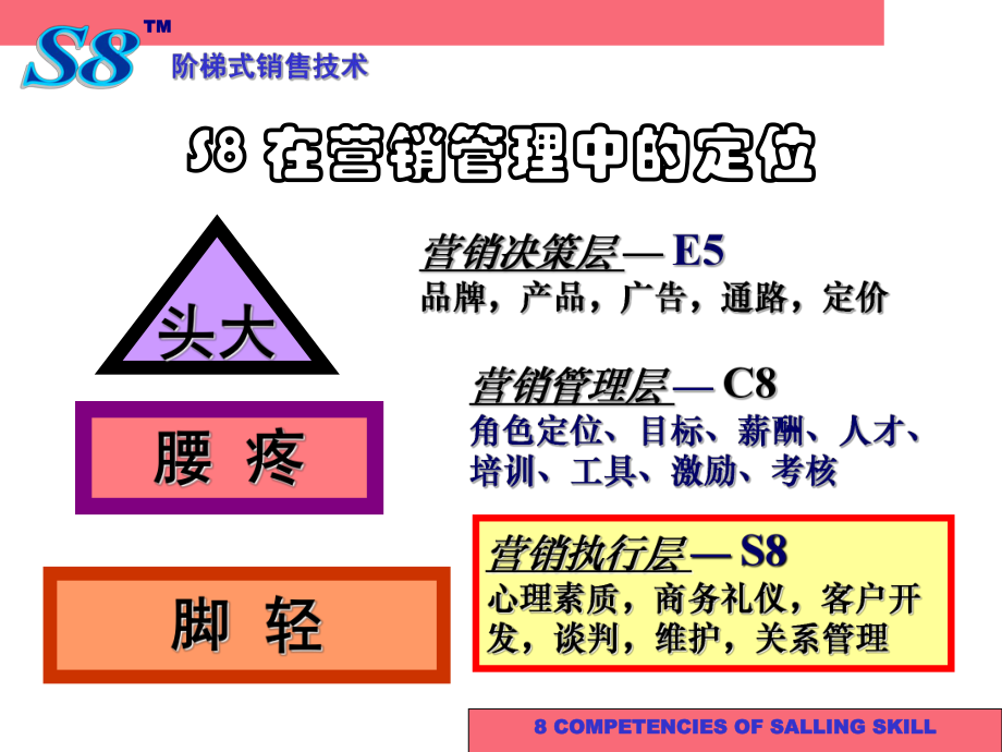 经典培训讲义《阶梯式销售技巧》(ppt-195)课件.ppt_第3页