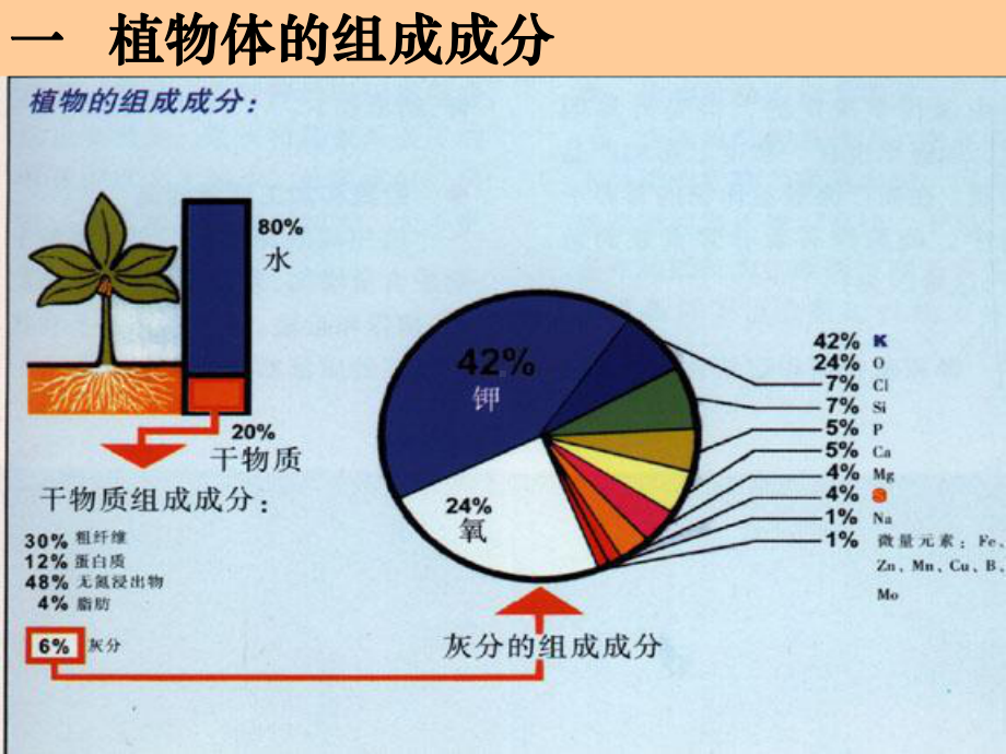 第一章第一节植物营养成分剖析课件.ppt_第3页