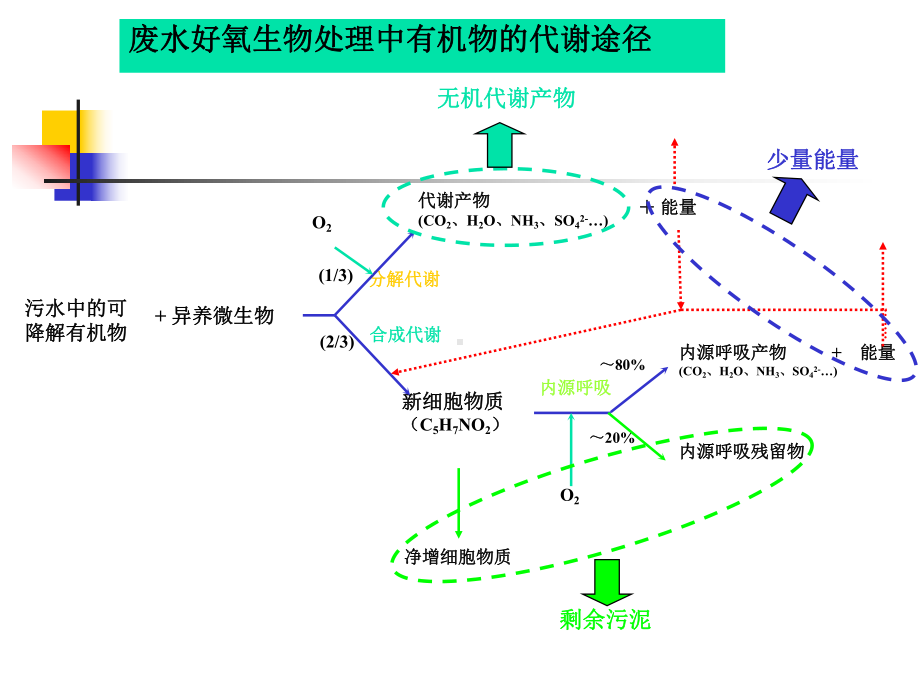 第四章-污水的好氧生物处理-活性污泥法1课件.ppt_第2页