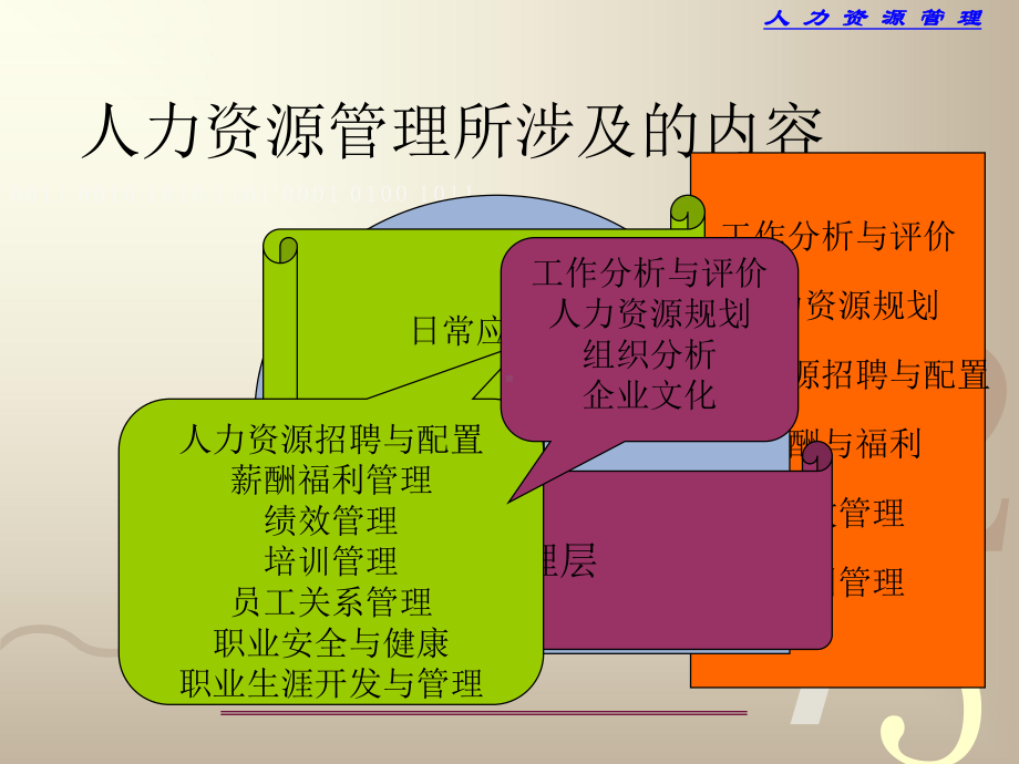 人力资源管理(全套课件385P).ppt_第3页