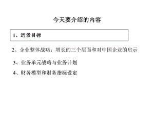 企业整体战略的规划定义(ppt-69页).ppt