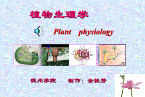 植物生理学之激素课件.ppt