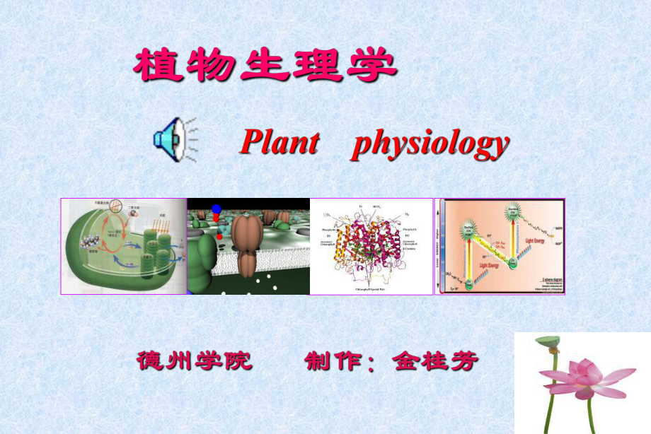 植物生理学之激素课件.ppt_第1页