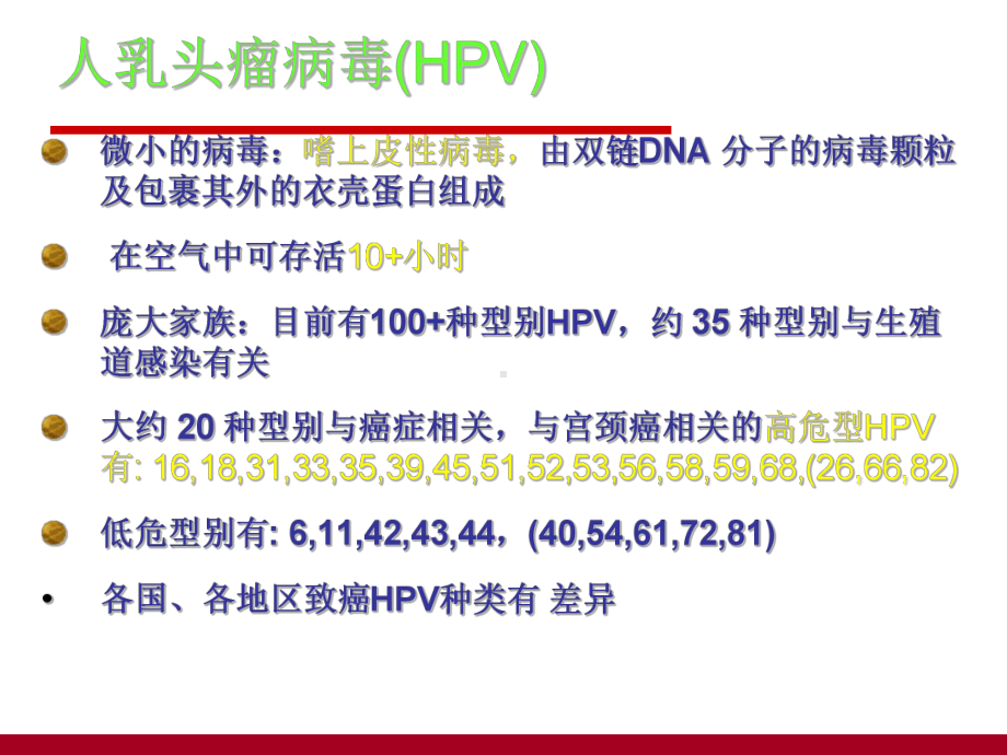 人乳头瘤病毒HPV课件.ppt_第3页