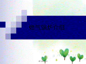 燃气锅炉介绍课件.ppt