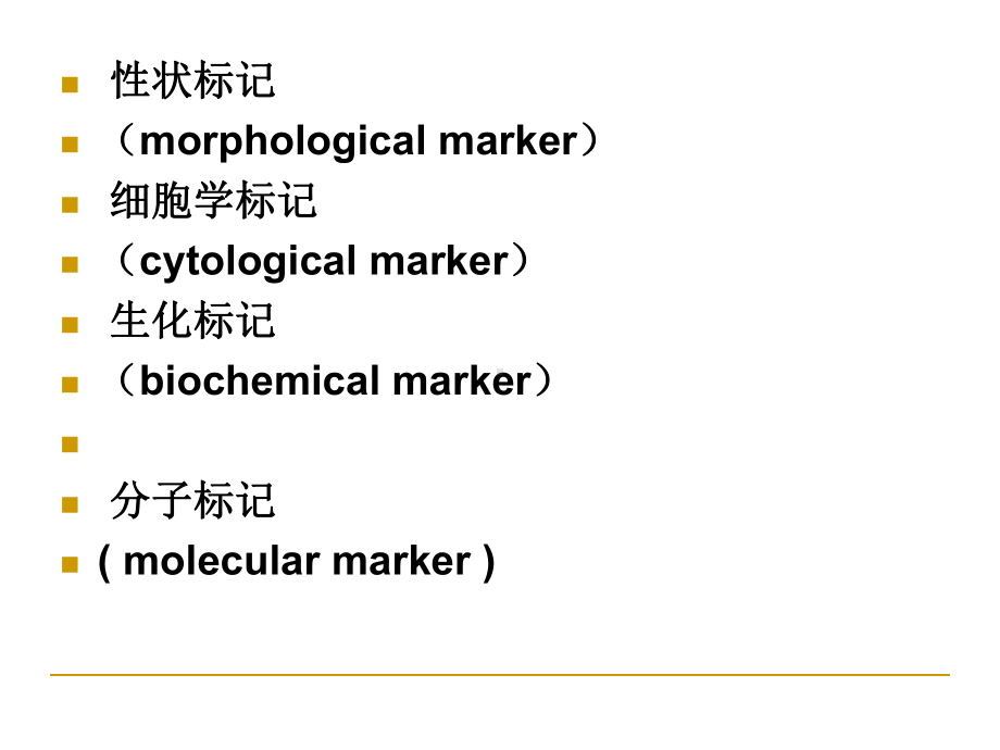 分子标记ppt课件-PPT课件.ppt_第3页