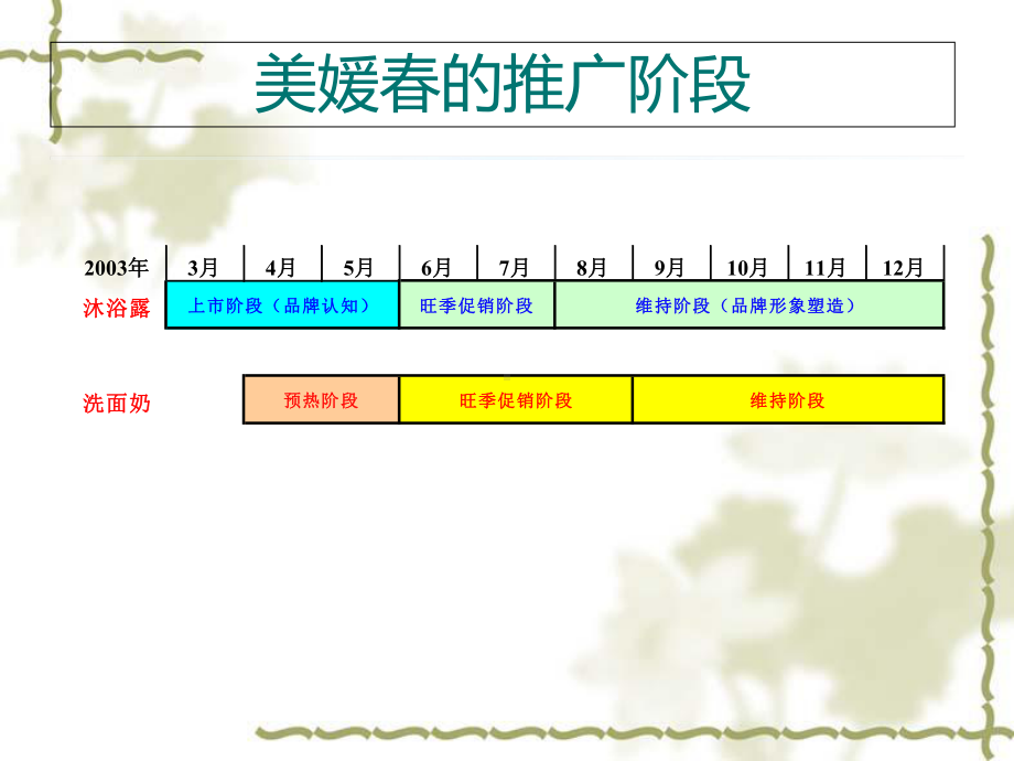 某品牌媒介推广策略方案1.ppt_第3页