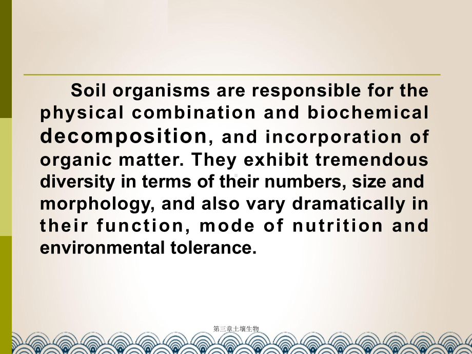 第三章土壤生物课件.ppt_第3页