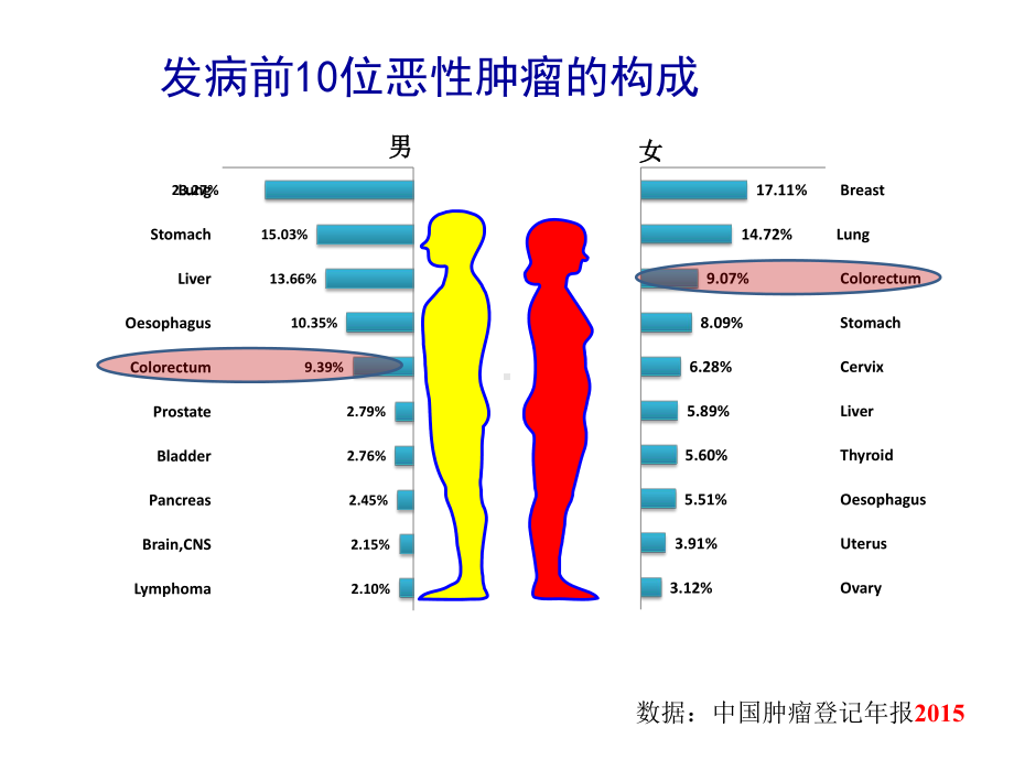 晚期结直肠癌肝转移的肝动脉化疗与靶向治疗的临床研究课件.pptx_第3页