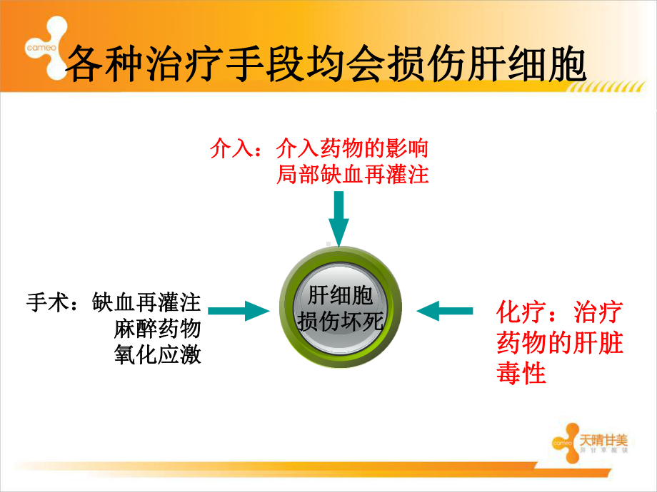 甘美血肿-课件.ppt_第3页