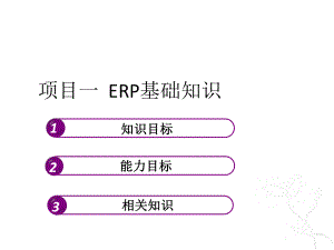 教学课件：《ERP原理与应用》(第一套).ppt