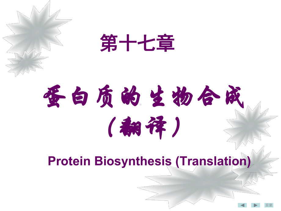 人卫8版蛋白质生物合成.ppt课件.ppt_第2页