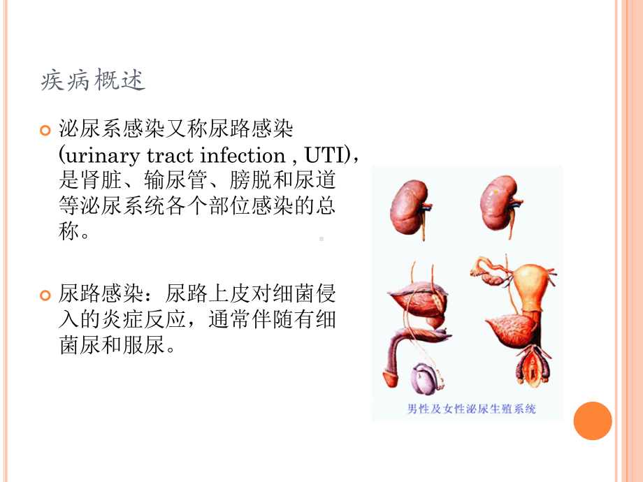 泌尿系感染疾病现状及诊疗分析课件.pptx_第2页