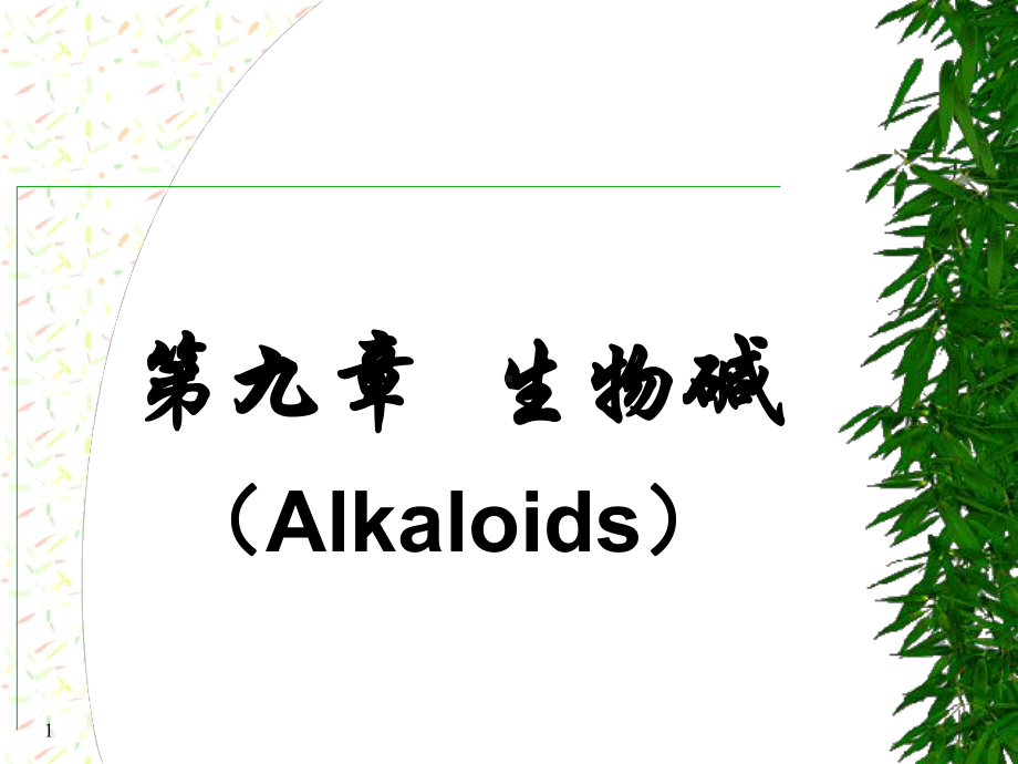 第4章生物碱课件.ppt_第1页