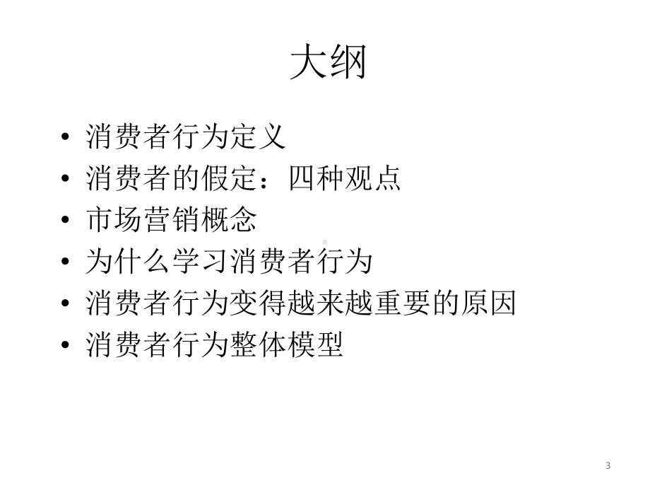 教学课件·消费者行为学.ppt_第3页