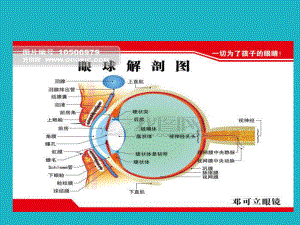 糖尿病性白内障围手术期护理体会课件PPT.pptx