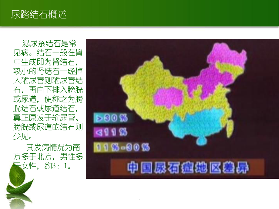 泌尿系结石医学PPT课件.ppt_第3页