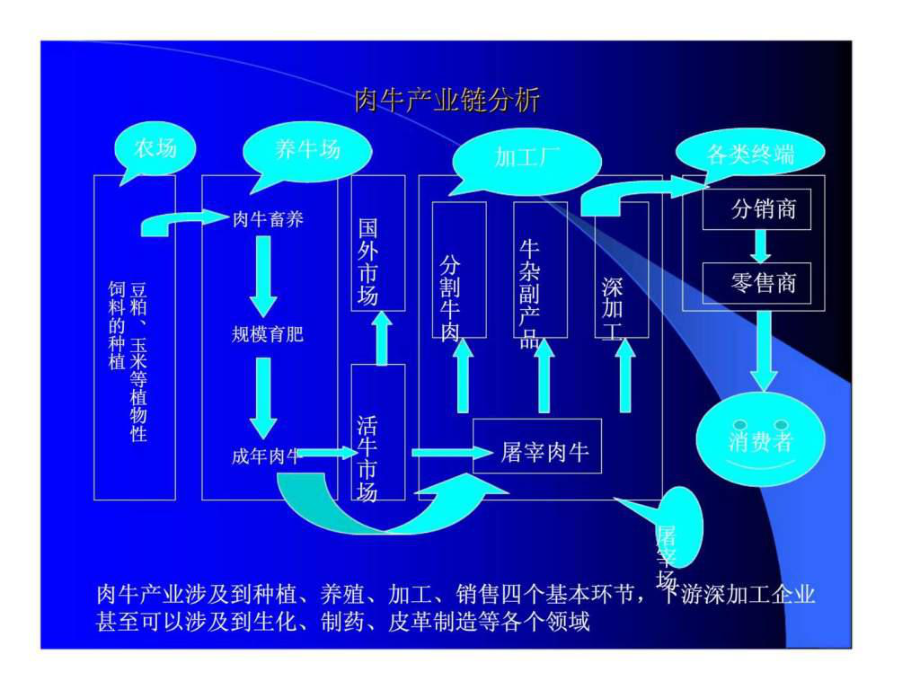 牛肉行业研究报告课件.ppt_第3页