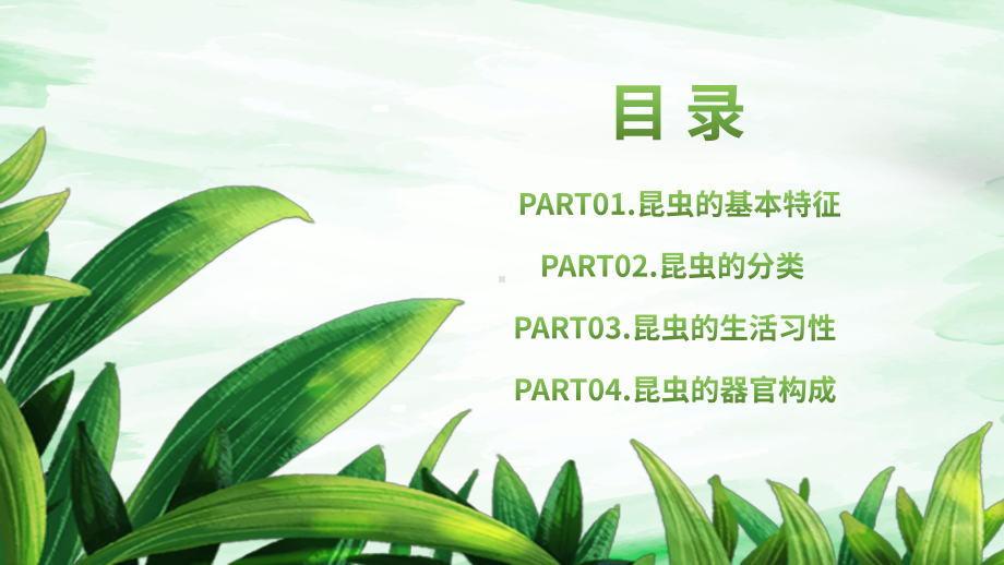 绿色卡通风昆虫卡通小百科介绍PPT课件.pptx_第2页