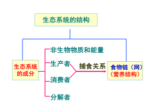 生态系统的能量流动(非常好)-共47页课件.ppt