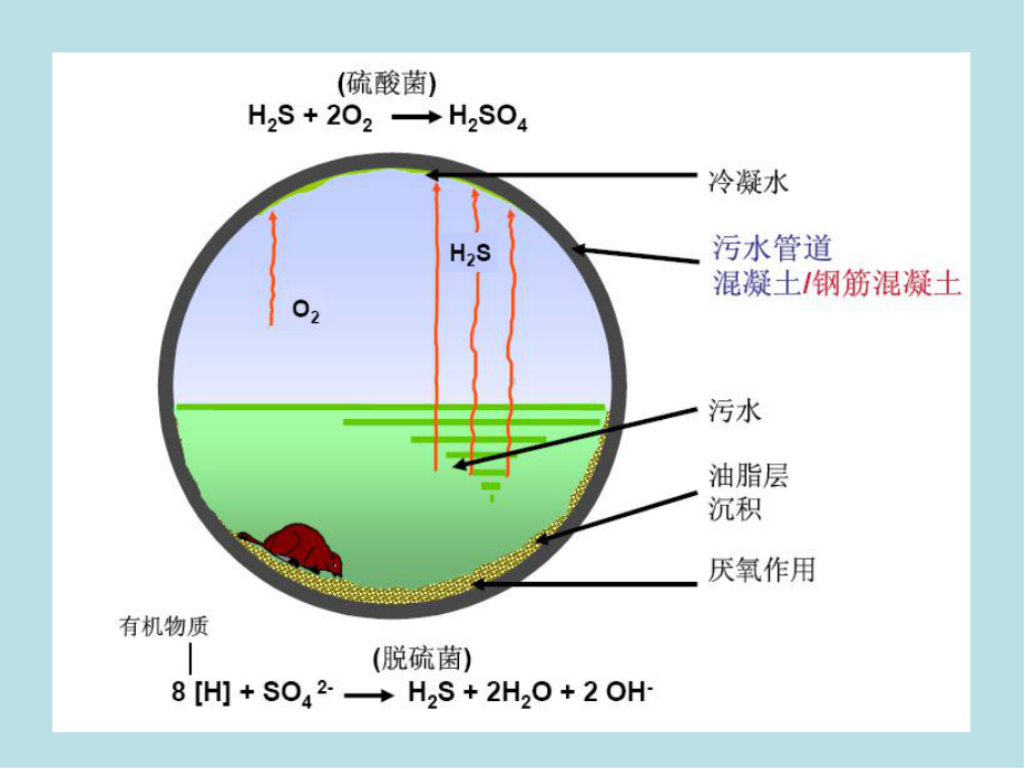 城市基础设施规划第3章-城市基础设施规划(排水部分)4.ppt_第3页