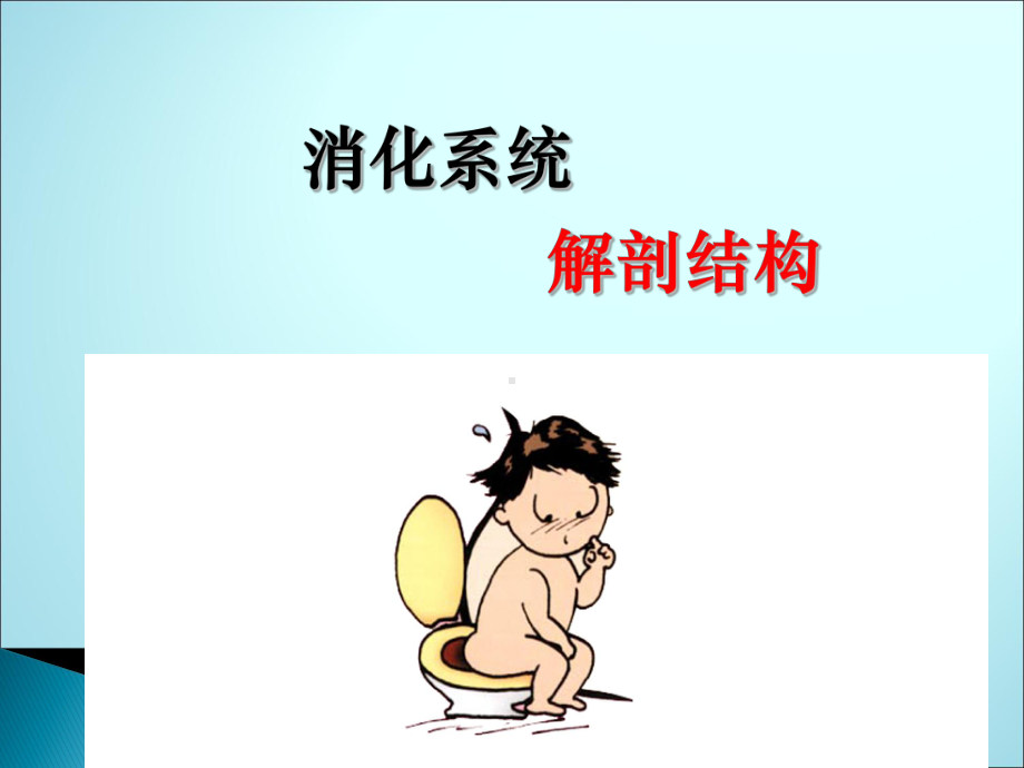 消化系统(解剖)课件.ppt_第1页