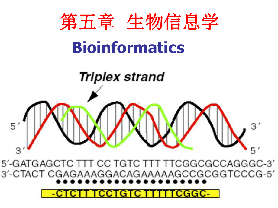 第五章生物信息学课件.ppt_第1页