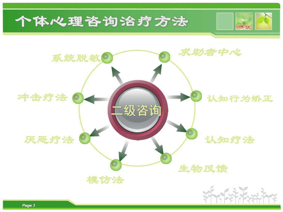 二级咨询技能-谢满课件.ppt_第3页