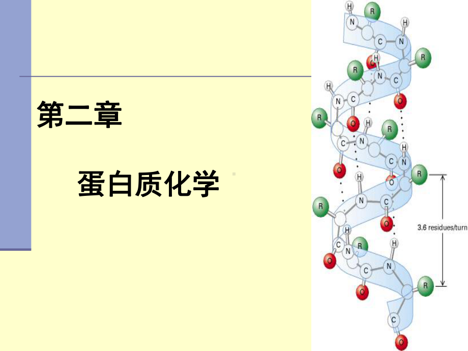 第2章-蛋白质课件.ppt_第1页