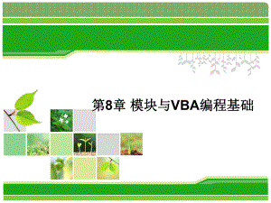 第8章模块与VBA编程基础课件.ppt