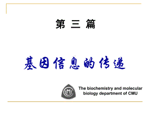 生物化学教案9课件.ppt