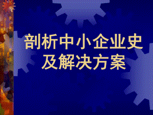 中小企业史及管理体制解决方案.pptx