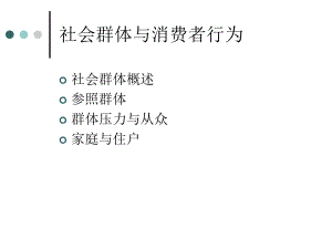 消费者行为学第12章社会群体与消费者购买行为课件.pptx