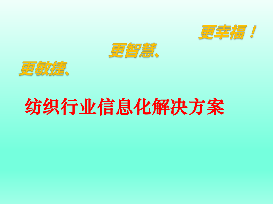 纺织行业信息化解决方案.pptx_第1页