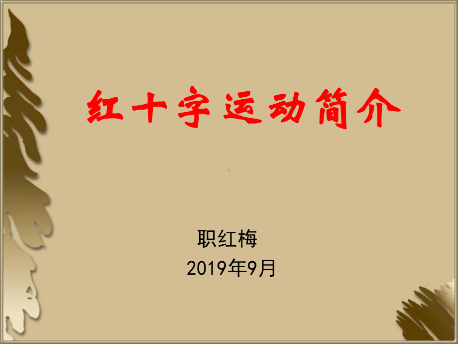 红十字会的起源.ppt..-共26页课件.ppt_第2页