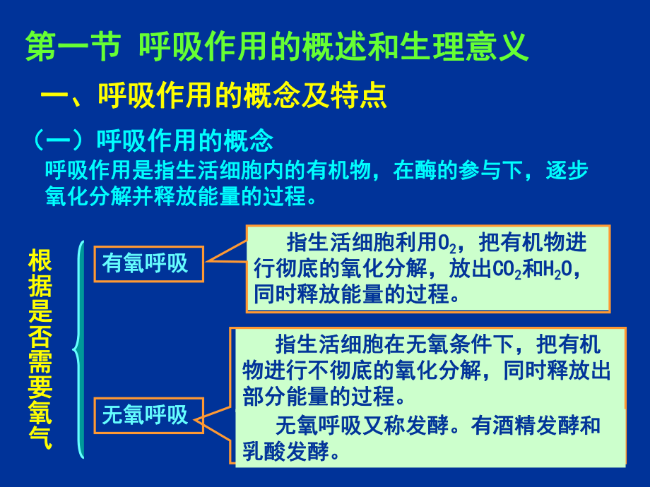 植物的呼吸作用-PPT课件.ppt_第3页