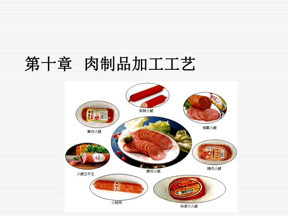 第十章肉制品加工工艺课件.ppt_第1页