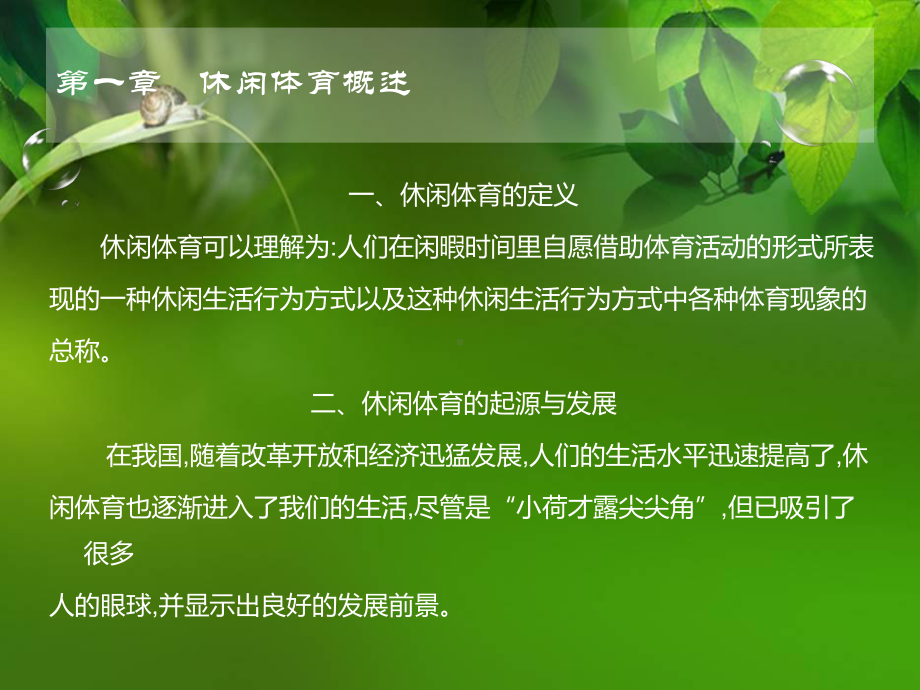 教学课件·休闲体育.ppt_第3页