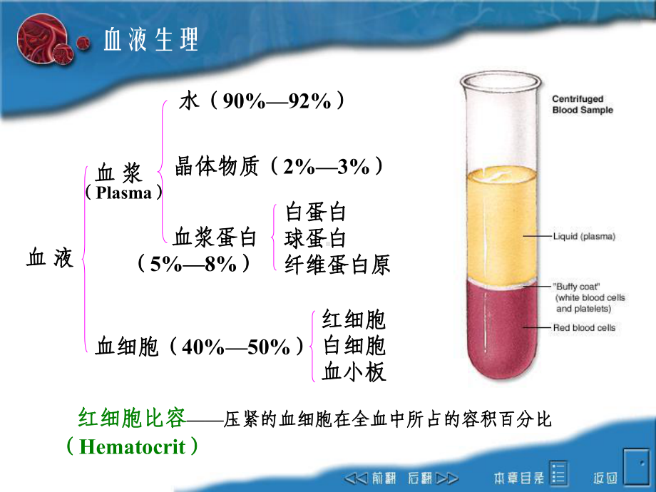 第二章血液课件.ppt_第3页