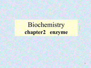 生物化学酶的本质和组成课件.ppt