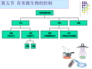 有害微生物的控制-PPT课件.ppt