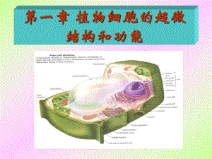 细胞结构与功能教课课件.ppt