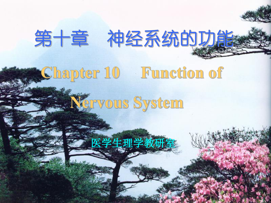 生理学第十章---神经系统的功能课件.ppt_第1页